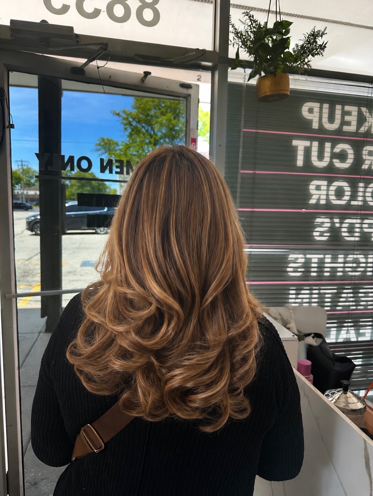 Honey highlights on long brown hair finished with a smooth blowout at Mary's Salon in Oak Lawn